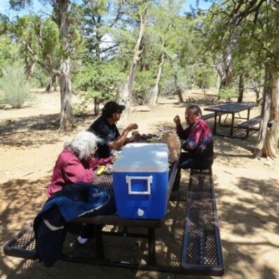 picnicTable